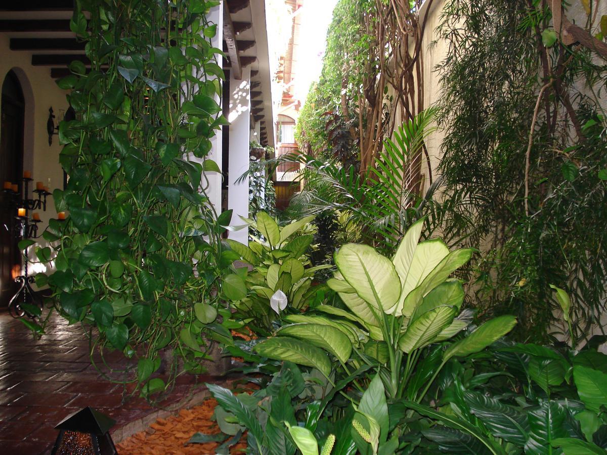 אנטיגואה גואטמלה Casa Florencia Hotel מראה חיצוני תמונה